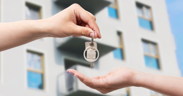 השכרה בישראל ב-Rent IL: איך לחסוך זמן וכסף בחיפוש דירה בשוק תחרותי