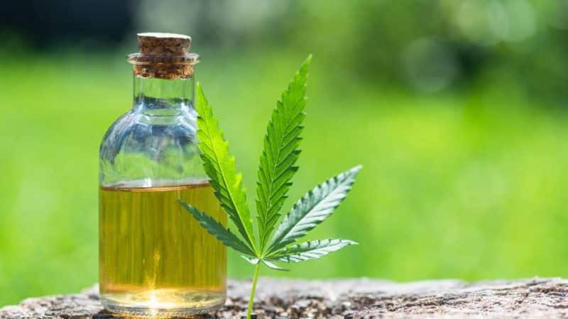 סוכריות cbd